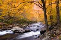 Little River Smokey mountain national park