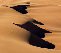 Dune shapes