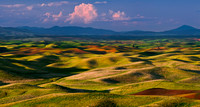 Palouse (1 of 1)