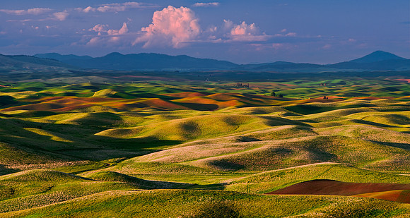 Palouse (1 of 1)