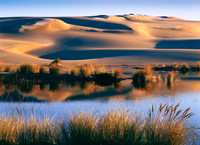 Oregon sand dunes with water