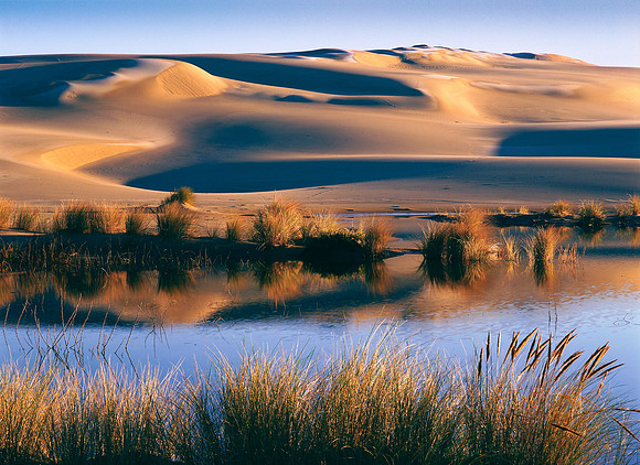 Oregon sand dunes with water