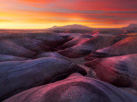 Dawn Light