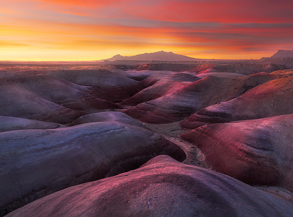 Dawn Light