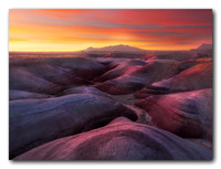 Dawn Light
