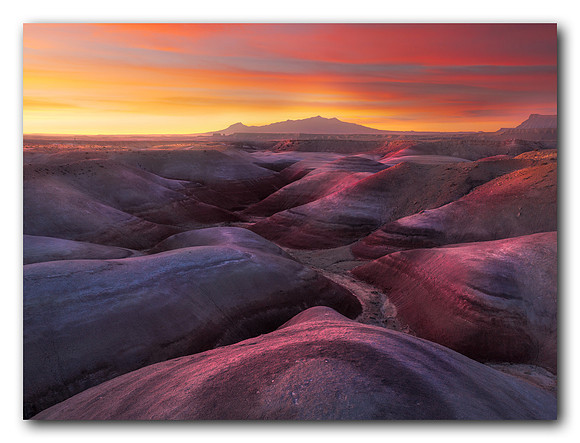 Dawn Light