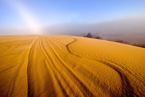 Fog bow in Oregon dunes