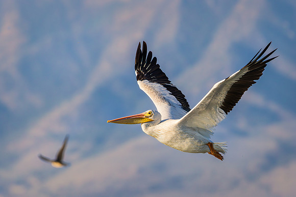 Soaring-over-mountains
