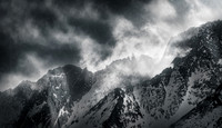 Natures Force
