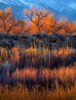 Owens Valley Sunrise