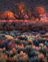 Rainbow Valley