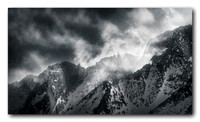 Natures Force
