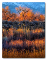 Owens Valley Sunrise