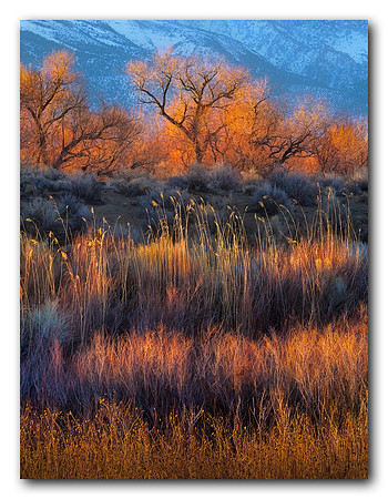 Owens Valley Sunrise