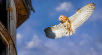 Coming in for a Landing
