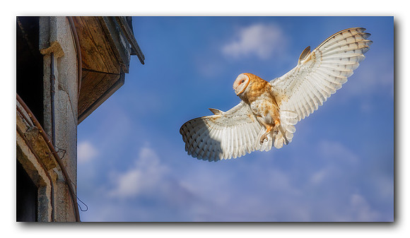 Coming in for a Landing