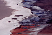 Artist Pallet
