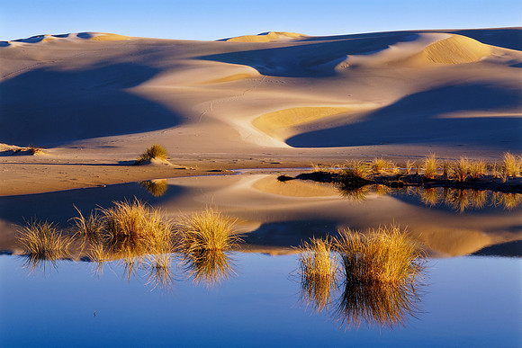 Oregon sand dunes with water