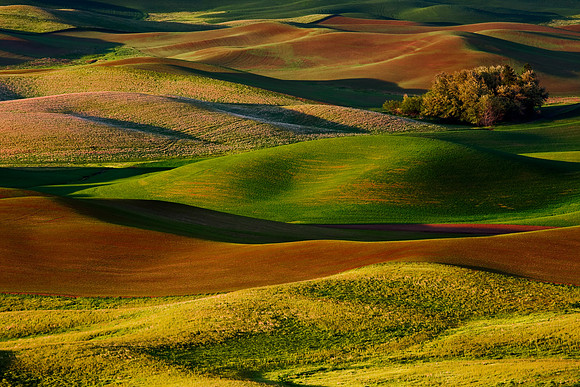 Colors of the Palouse