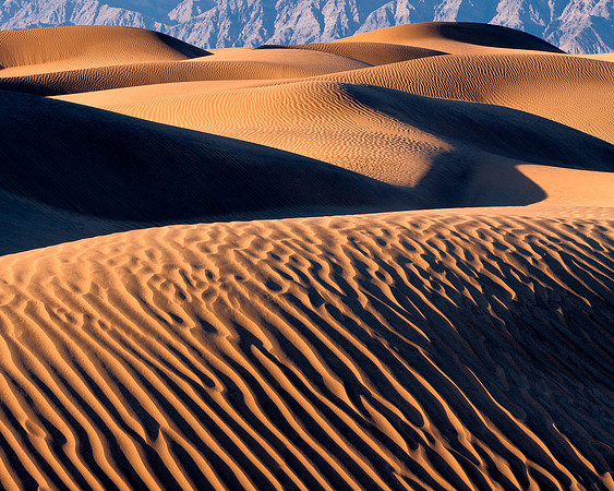 Mesquite dunes in Death valley national park