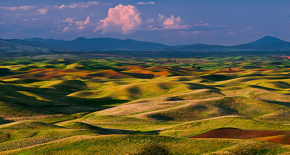 The Palouse region