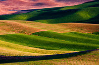 Colors of the Palouse
