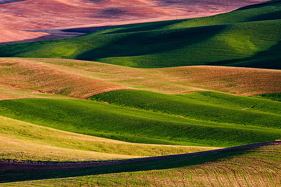 Colors of the Palouse