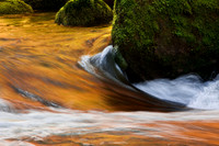 Reflections on Sweet Creek