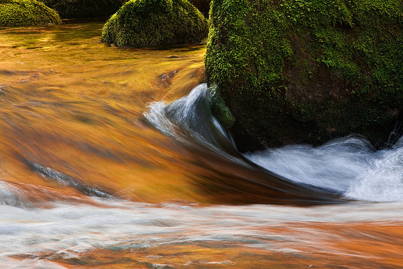 Reflections on Sweet Creek