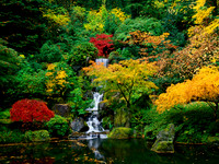 Portland Japanese gardens