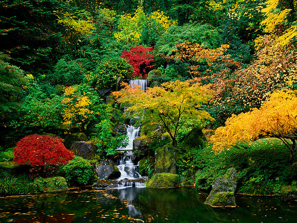 Portland Japanese gardens