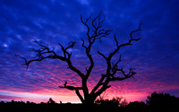 Sunrise on Canyonlands