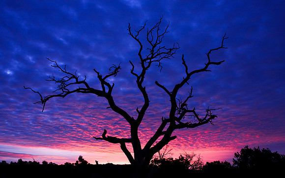 Sunrise on Canyonlands