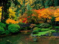 Portland Japanese gardens