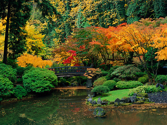 Portland Japanese gardens