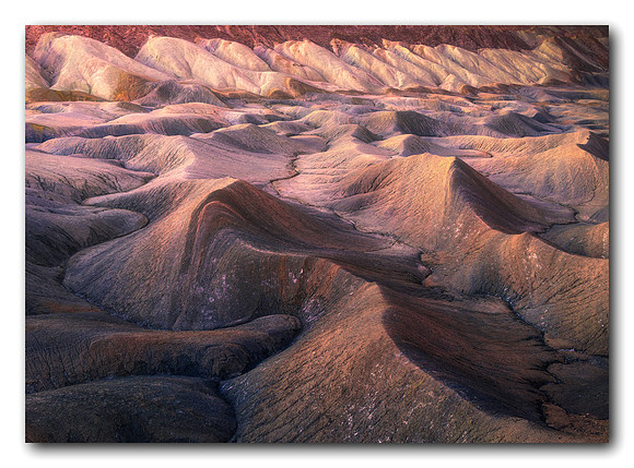 Alien World