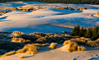 Oregon sand dunes